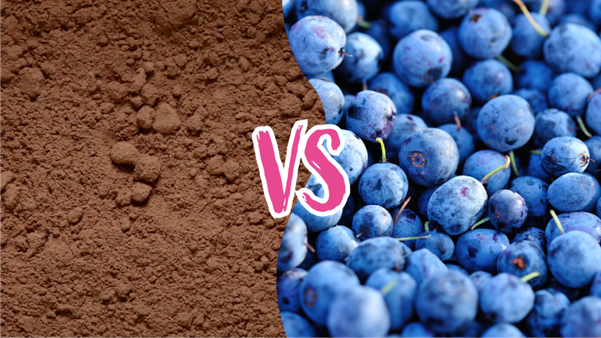 Does Raw Cacao really have 40x the antioxidants of Blueberries ?